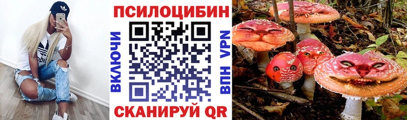 Купить закладки  Котельниково  Псилоцибиновые грибы ЛСД 